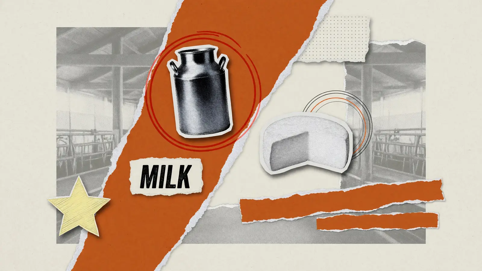 Cut-paper collage of a milk can and a wedge of cheese, labelled MILK, for Class III milk