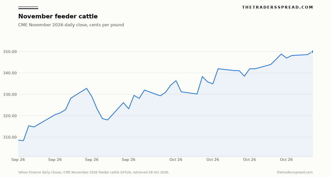 November 2026 CME feeder cattle futures daily closes in cents per pound, 1 September to 27 October 2026