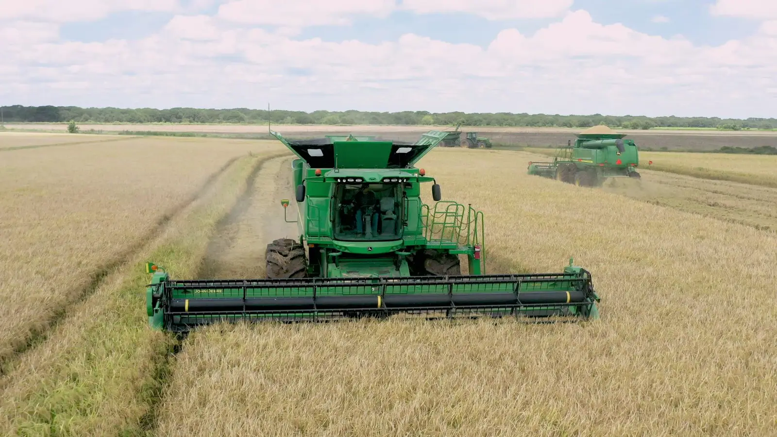 Combines harvesting rice at 3S Ranch near El Campo, Texas