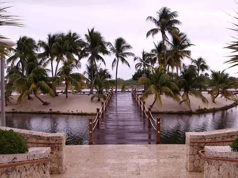 Boardwalk and palms at Camana Bay, George Town, Grand Cayman, photographed in December 2010