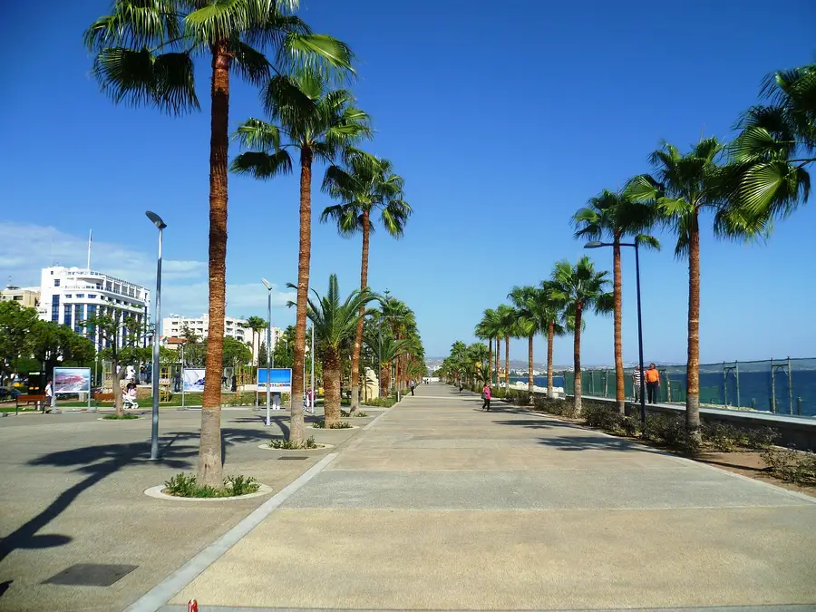 Palm-lined seafront promenade in Limassol, Cyprus, the city where Notesco Financial Services Ltd is registered