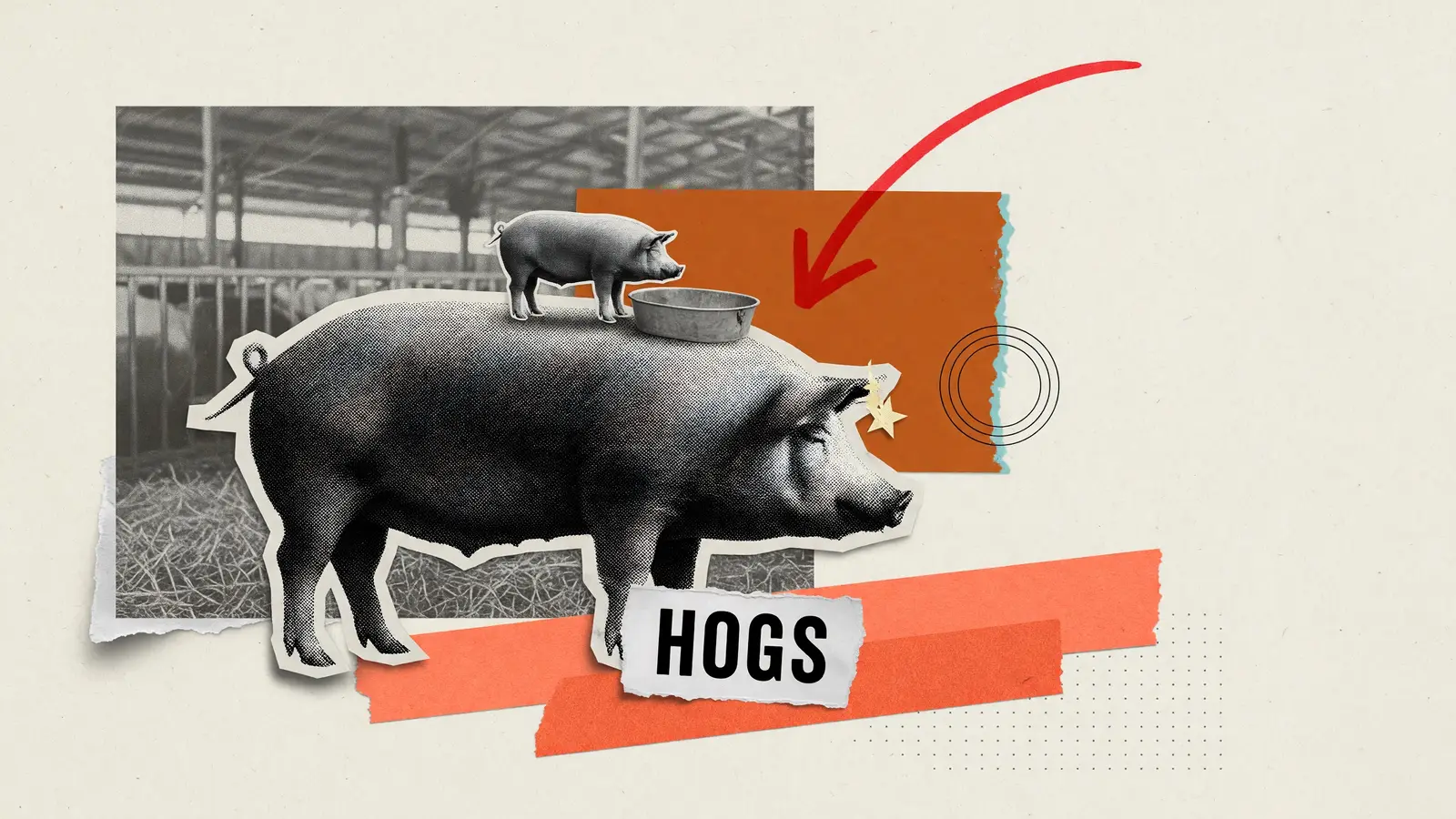 Cut-paper collage of a market hog and an empty trough with a red arrow pointing down, labelled HOGS, for lean hogs