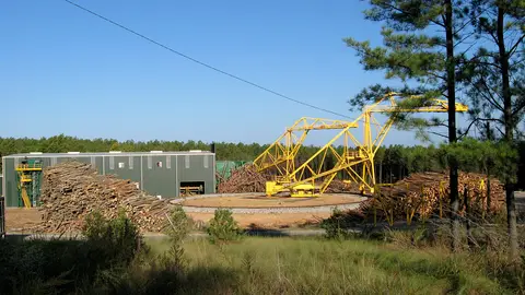 Log yard with stacked timber and a yellow crane beside a mill building in a pine forest in Virginia
