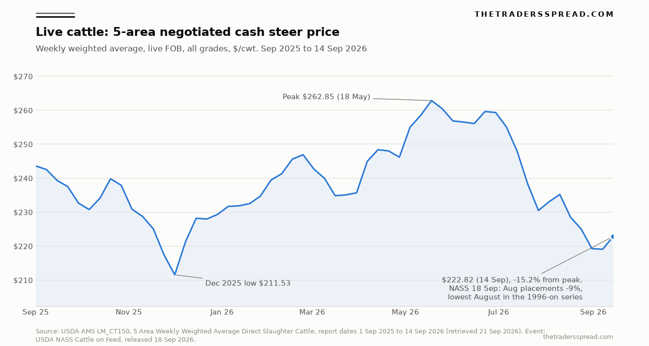 Line chart of the USDA 5-area weekly weighted average negotiated cash steer price from September 2025 to 14 September 2026, peaking at 262.85 dollars in May and falling to 222.82 dollars