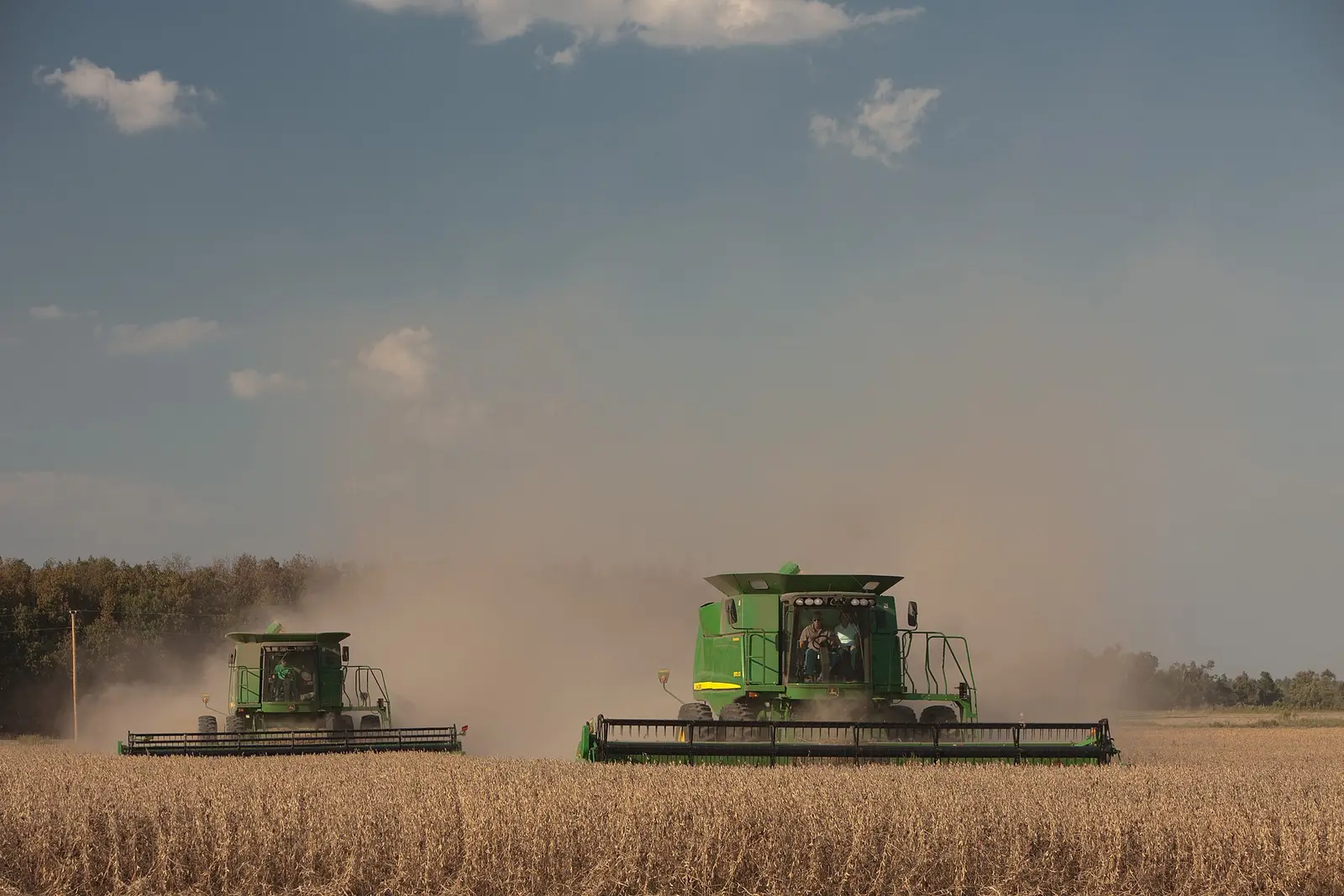Two combines harvesting a soybean field in dry dusty conditions