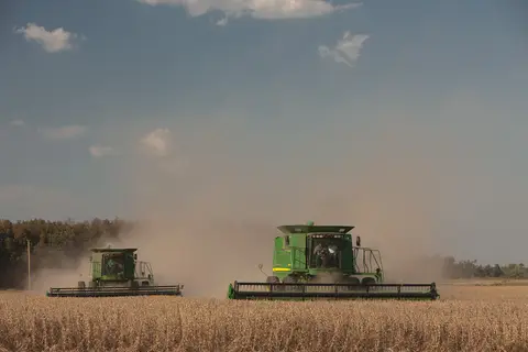 Two combines harvesting a soybean field in dry dusty conditions